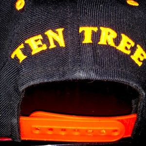 TenTree Snapback